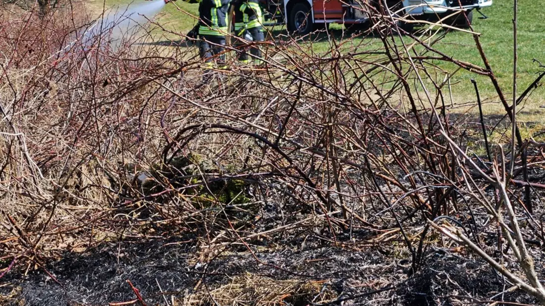 FW Wenden: Frühe Brandgefahr - Vorsicht vor Wald- & Vegetationsbränden in bevorstehenden Sommerhitze - Bild: presseportal.de