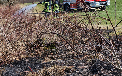 FW Wenden: Frühe Brandgefahr - Vorsicht vor Wald- & Vegetationsbränden in bevorstehenden Sommerhitze - Foto: presseportal.de