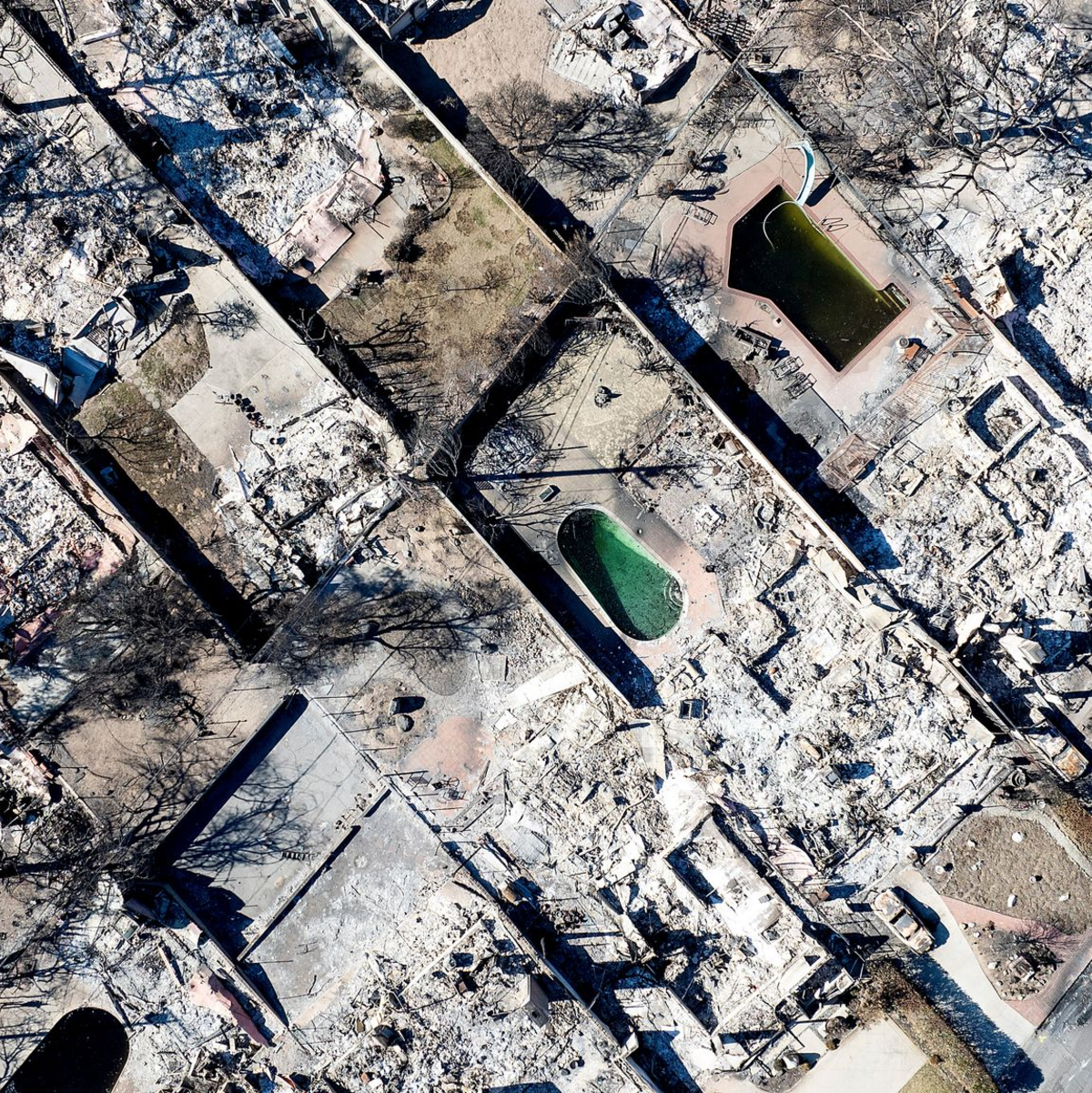 Etliche Wochen nach den Feuern wurden noch menschliche Überreste gefunden.  - Foto: Noah Berger/FR34727 AP/dpa