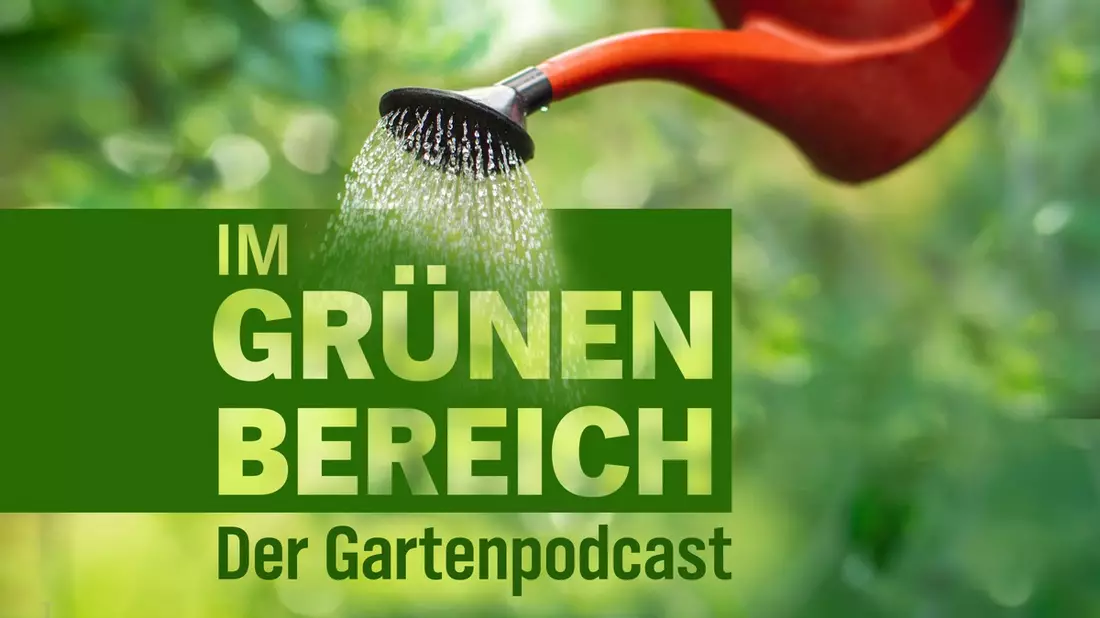 NDR Garten-Podcast Im Grünen Bereich- Service für den ganzen Norden aus Kiel und Hannover - Bild: presseportal.de