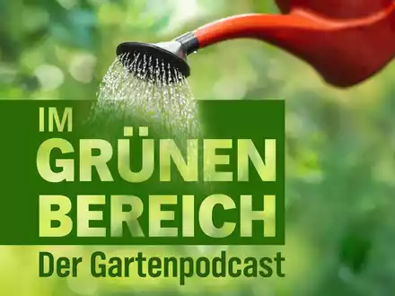 NDR Garten-Podcast Im Grünen Bereich- Service für den ganzen Norden aus Kiel und Hannover - Foto: presseportal.de