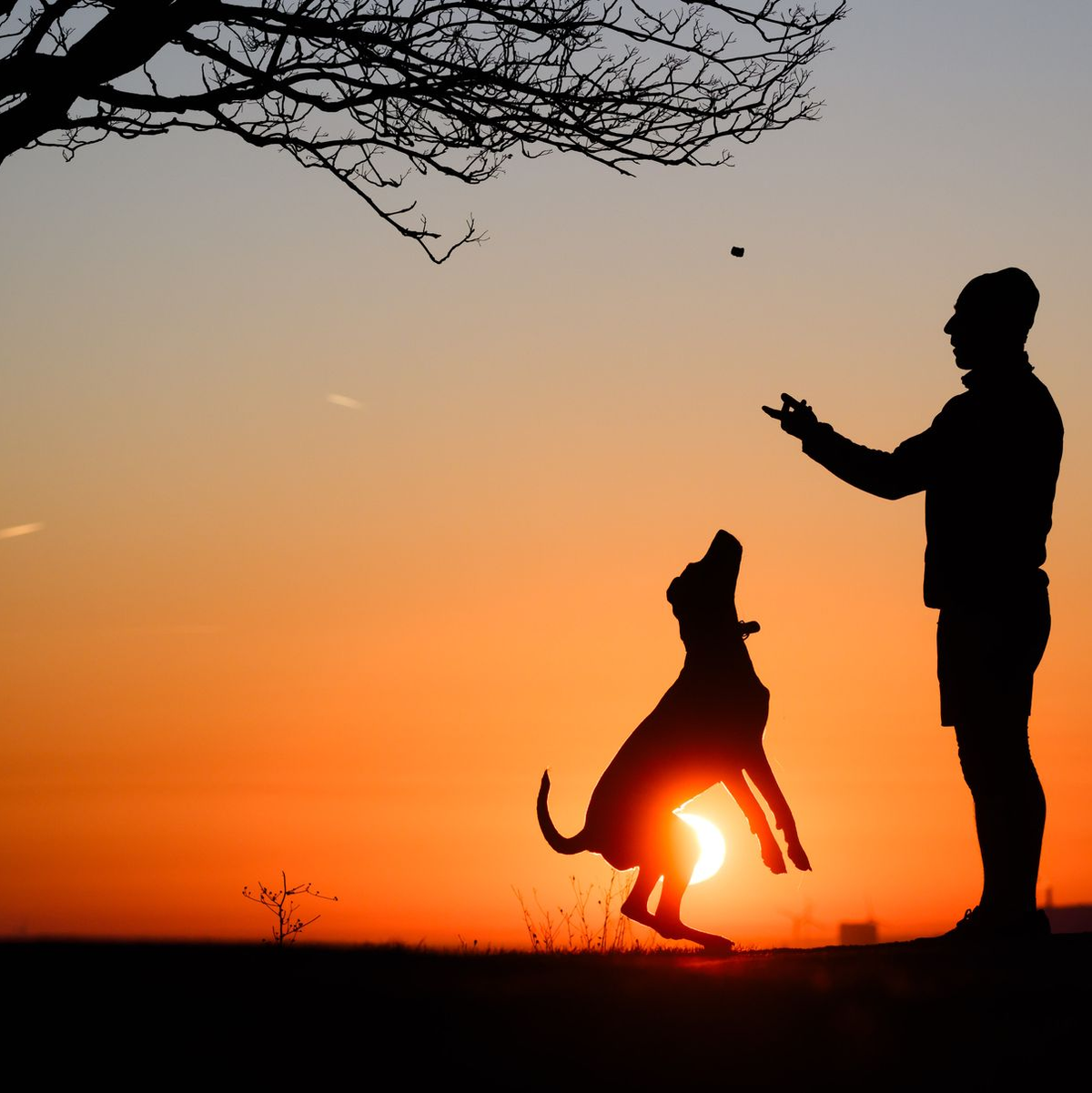 Für Freitag wird viel Sonne erwartet. - Foto: Julian Stratenschulte/dpa