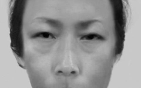 POL-DN: Polizei fahndet mit Phantombild nach Diebin - Foto: presseportal.de