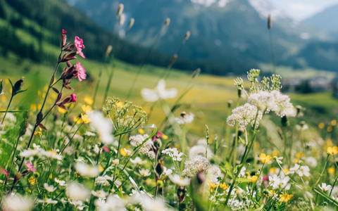 Die außergewöhnlichsten Frühlingswanderungen 2025 - Foto: presseportal.de