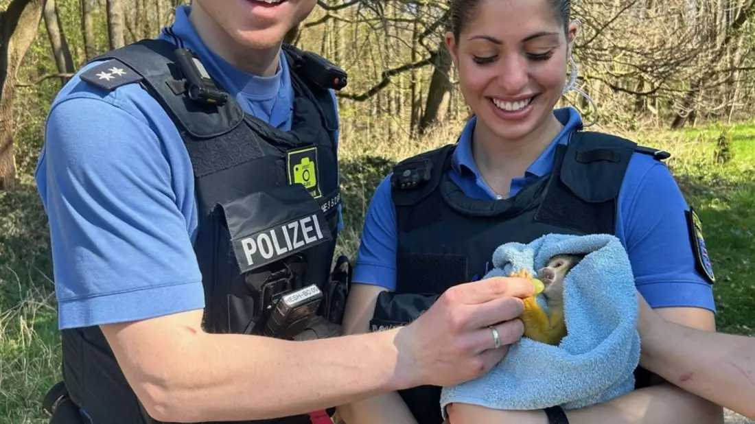 POL-DA: Darmstadt: Affentheater in Darmstadt / Totenkopfäffchen festgenommen - Bild: presseportal.de