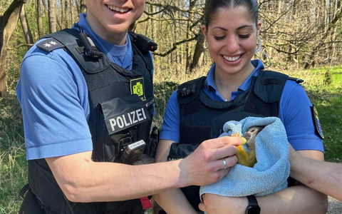 POL-DA: Darmstadt: Affentheater in Darmstadt / Totenkopfäffchen festgenommen - Foto: presseportal.de