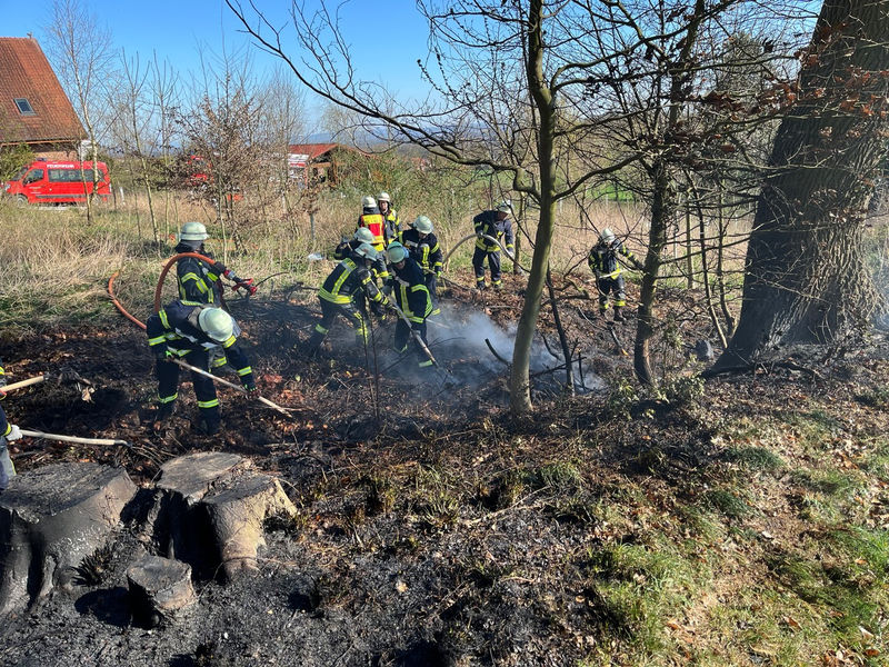 FW Hüllhorst: Waldbrand- und Flächenbrand in Hüllhorst Gemeldeter Wohnungsbrand 03. + 04.04.2025 - Foto: presseportal.de