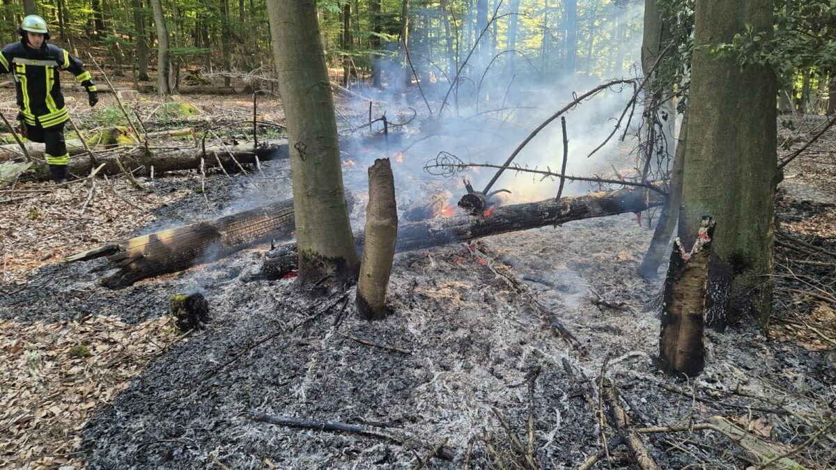 FW Kreis Soest: Wald- und Flächenbrandgefahr jetzt schon hoch - wie kann man vorbeugen? - Foto: presseportal.de