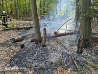 FW Kreis Soest: Wald- und Flächenbrandgefahr jetzt schon hoch - wie kann man vorbeugen? - Foto: presseportal.de