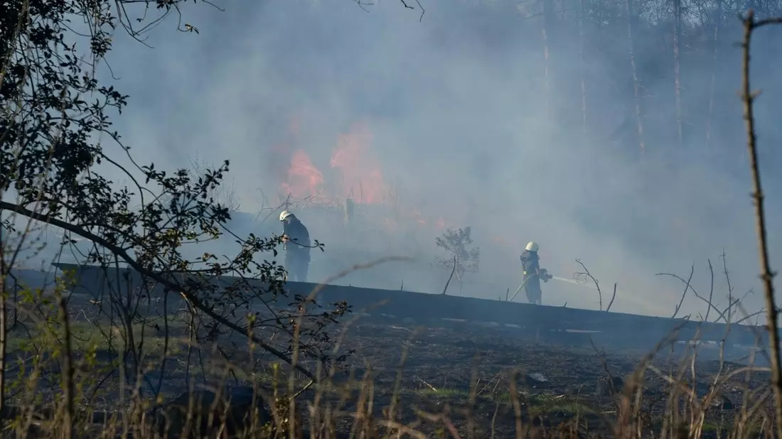FW-EN: Waldbrand - Bild: presseportal.de