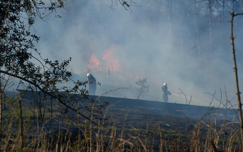 FW-EN: Waldbrand - Foto: presseportal.de