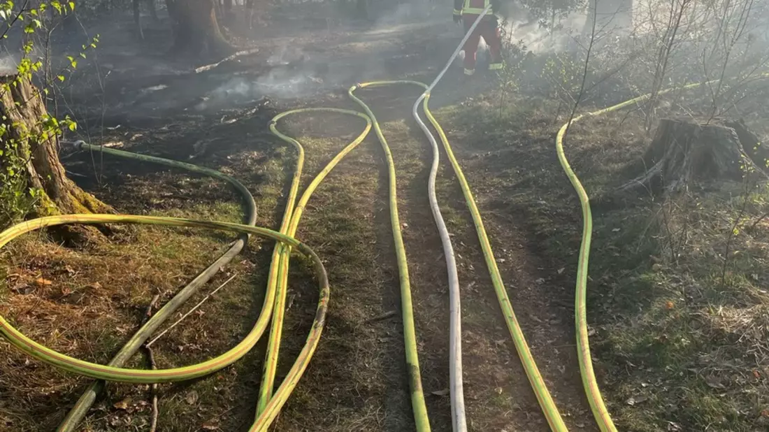 FW Overath: Waldbrand Ortsteil Brombach im Stadtgebiet Overath - Bild: presseportal.de