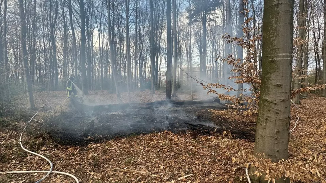 FW-RS: Mehrere Einsätze für die Feuerwehr: Verkehrsunfall und Waldbrand - Bild: presseportal.de