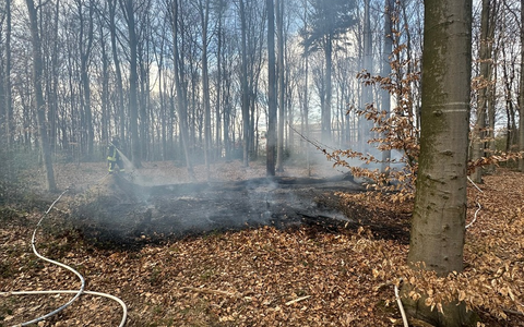 FW-RS: Mehrere Einsätze für die Feuerwehr: Verkehrsunfall und Waldbrand - Foto: presseportal.de