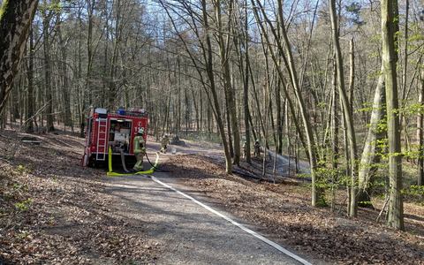 FW-KLE: Waldbrand am Sternberg schnell unter Kontrolle - Foto: presseportal.de