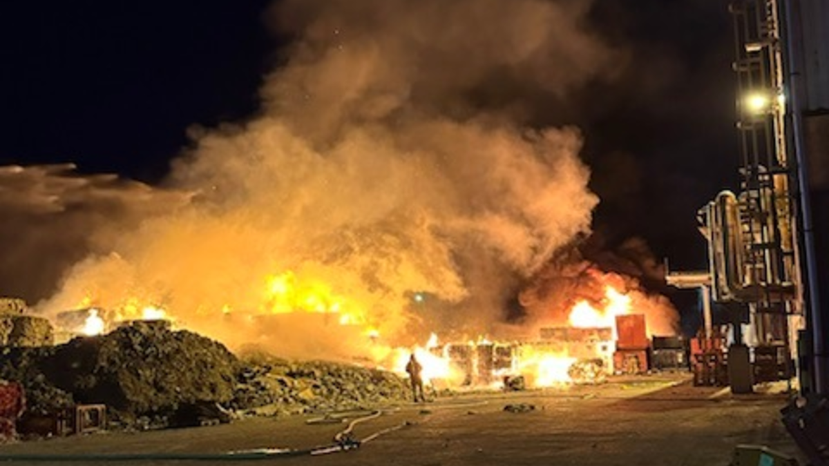 POL-DEL: Pressemeldung der Polizei Brake vom 06.04.2025 - Foto: presseportal.de