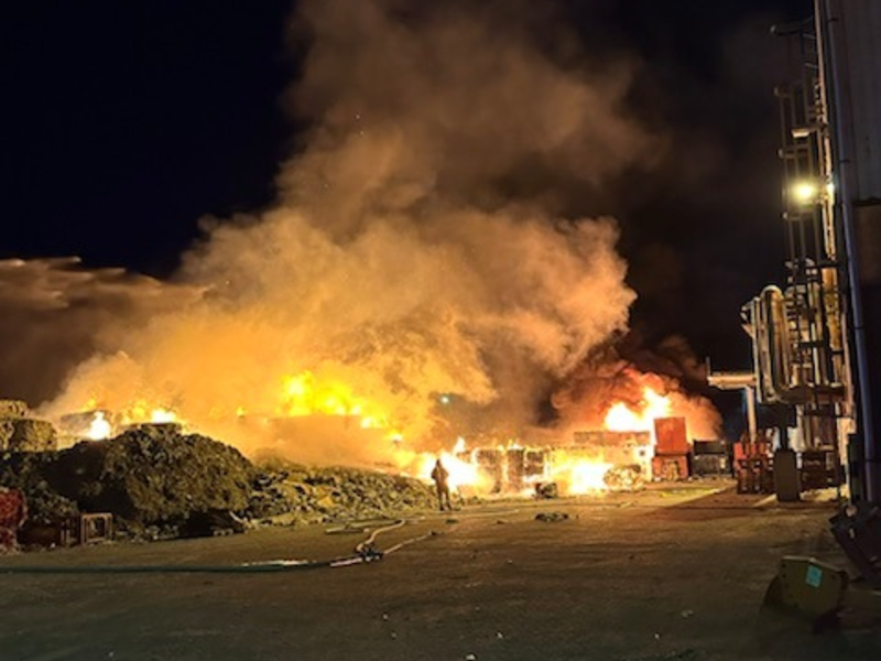 POL-DEL: Pressemeldung der Polizei Brake vom 06.04.2025 - Foto: presseportal.de