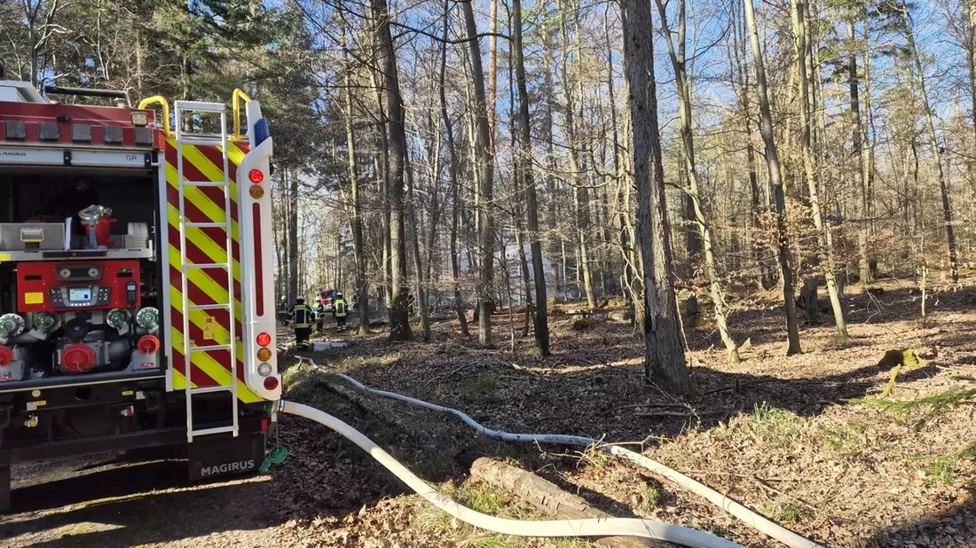 FW Pforzheim: Waldbrand im Bereich Hagenschieß - Eichwald - Bild: presseportal.de