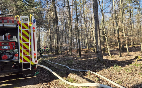 FW Pforzheim: Waldbrand im Bereich Hagenschieß - Eichwald - Foto: presseportal.de