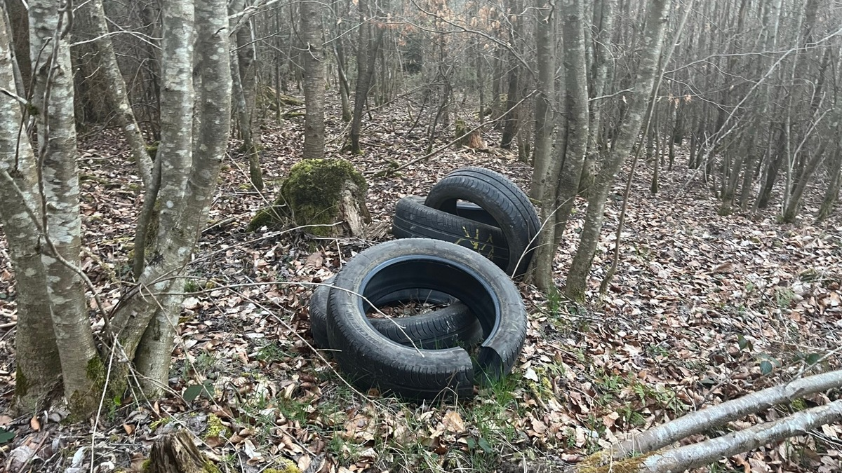 POL-PDTR: Illegale Müllablagerung im Waldgebiet - Foto: presseportal.de
