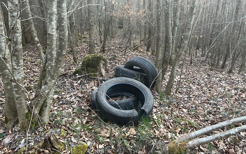 POL-PDTR: Illegale Müllablagerung im Waldgebiet - Foto: presseportal.de