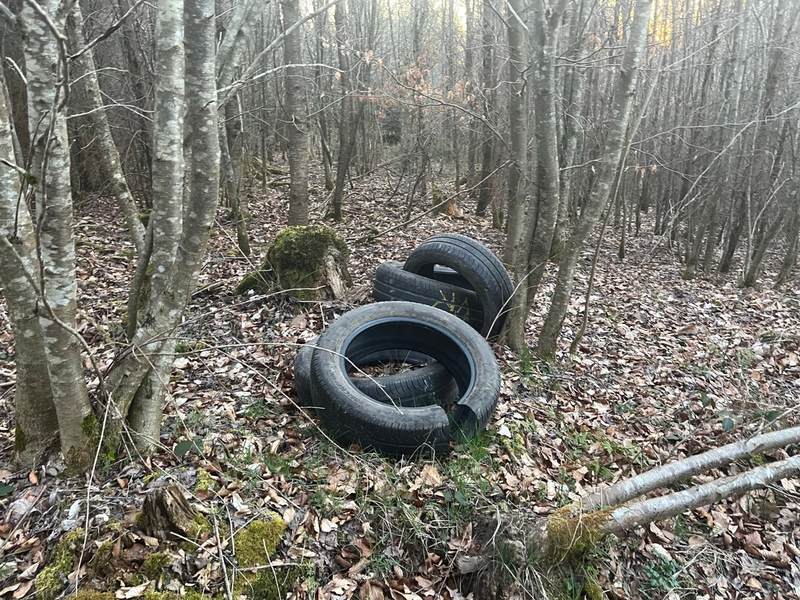 POL-PDTR: Illegale Müllablagerung im Waldgebiet - Foto: presseportal.de