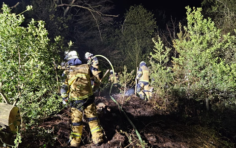 FW-E: Nächtlicher Waldbrand in steilem Gelände - Feuerwehr im Großeinsatz - Foto: presseportal.de
