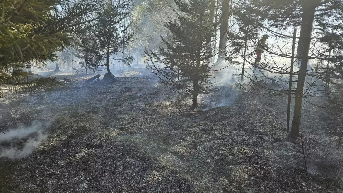 FW-Velbert: Waldbrand in Velbert-Neviges - Bild: presseportal.de
