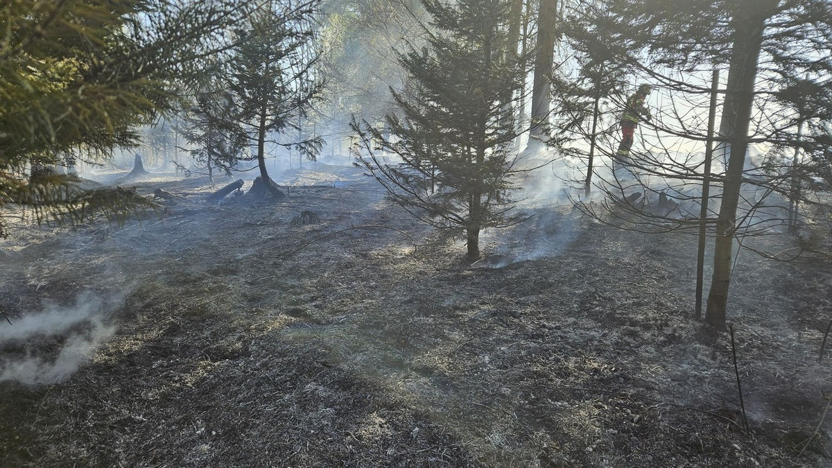 FW-Velbert: Waldbrand in Velbert-Neviges - Foto: presseportal.de