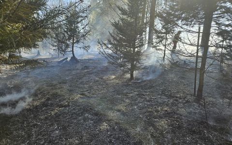 FW-Velbert: Waldbrand in Velbert-Neviges - Foto: presseportal.de