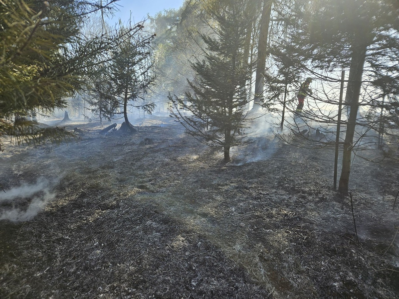 FW-Velbert: Waldbrand in Velbert-Neviges - Foto: presseportal.de