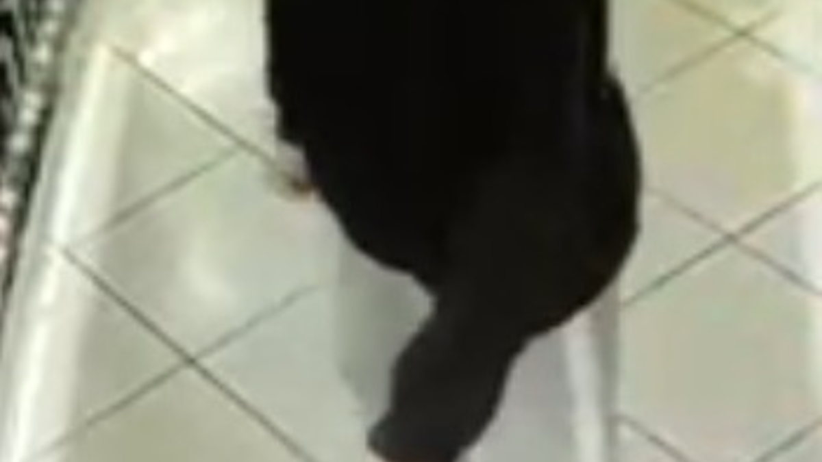 LPI-G: Öffentlichkeitsfahndung nach gewerbsmäßigen Diebstahls am 21.09. und 23.09.2024 - Foto: presseportal.de