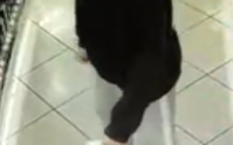 LPI-G: Öffentlichkeitsfahndung nach gewerbsmäßigen Diebstahls am 21.09. und 23.09.2024 - Foto: presseportal.de LPI-G: Öffentlichkeitsfahndung nach gewerbsmäßigen Diebstahls am 21.09. und 23.09.2024 - Foto: presseportal.de