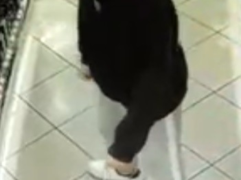 LPI-G: Öffentlichkeitsfahndung nach gewerbsmäßigen Diebstahls am 21.09. und 23.09.2024 - Foto: presseportal.de