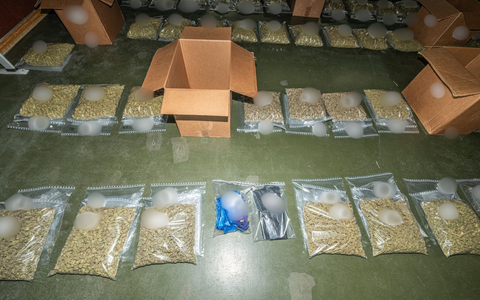 POL-PPMZ: Bundesweite Durchsuchungen, zahlreiche Festnahmen und umfangreiche Sicherstellungen in BTM-Ermittlungsverfahren von Kriminaldirektion Mainz und Staatsanwaltschaft Mainz - Foto: presseportal.de