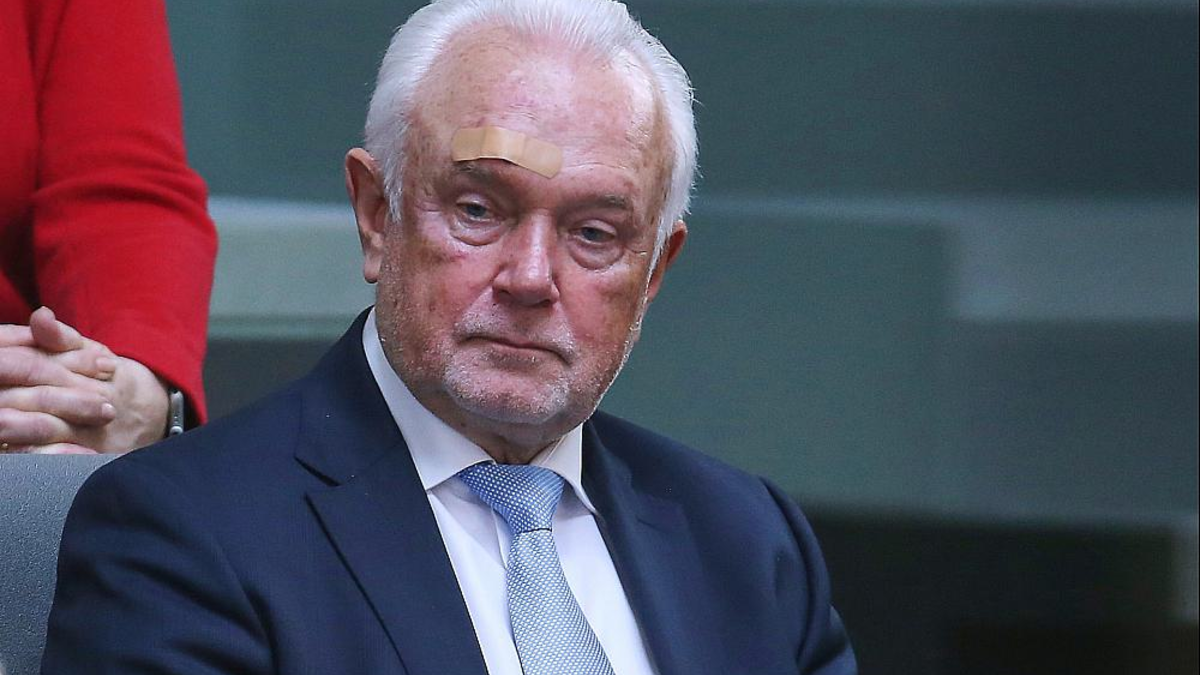 Wolfgang Kubicki (Archiv) - Foto: über dts Nachrichtenagentur