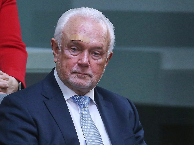 Wolfgang Kubicki (Archiv) - Foto: über dts Nachrichtenagentur