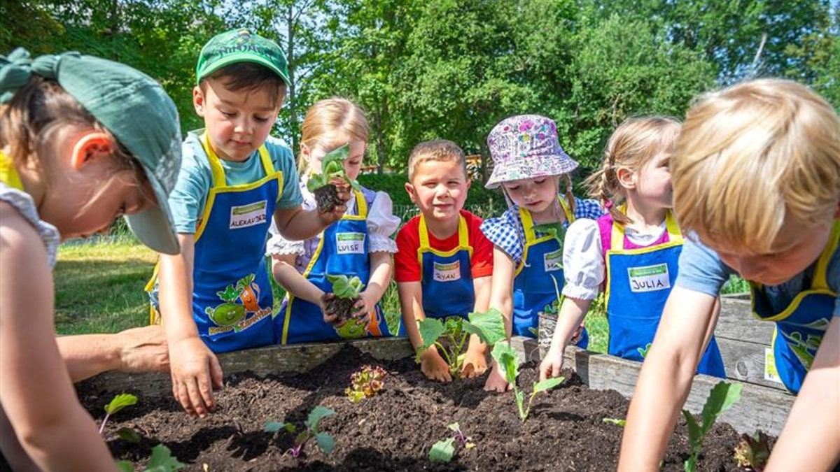 EDEKA Stiftung lässt Kitas aufblühen: 3.100 Gemüsebeete für nachhaltige Ernährungsbildung - Foto: presseportal.de