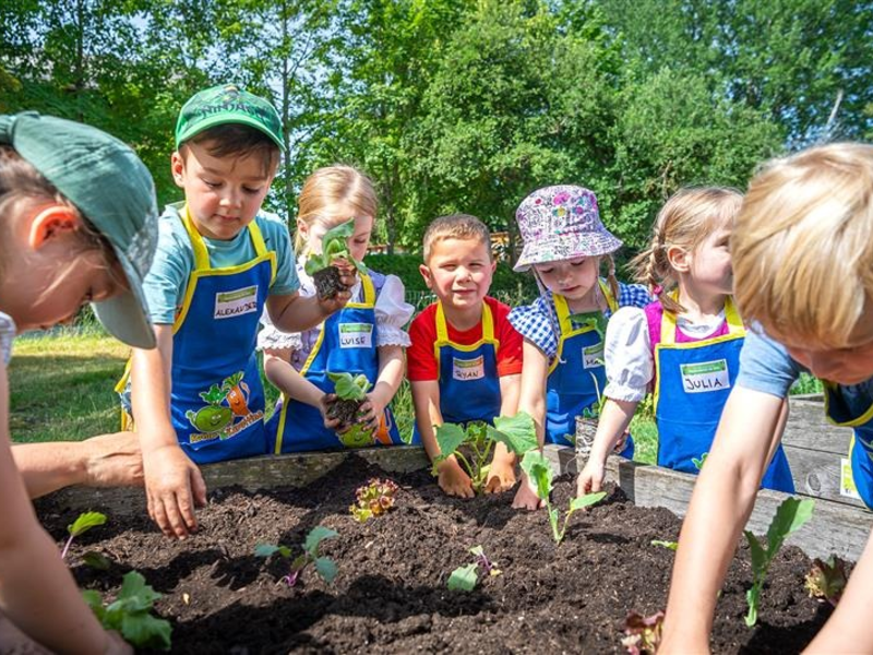 EDEKA Stiftung lässt Kitas aufblühen: 3.100 Gemüsebeete für nachhaltige Ernährungsbildung - Foto: presseportal.de