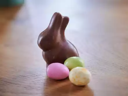 Stumm sitzt er und weiß nichts von der Debatte um ihn: der Schoko-Osterhase. (Symbolbild) - Foto: Annette Riedl/dpa