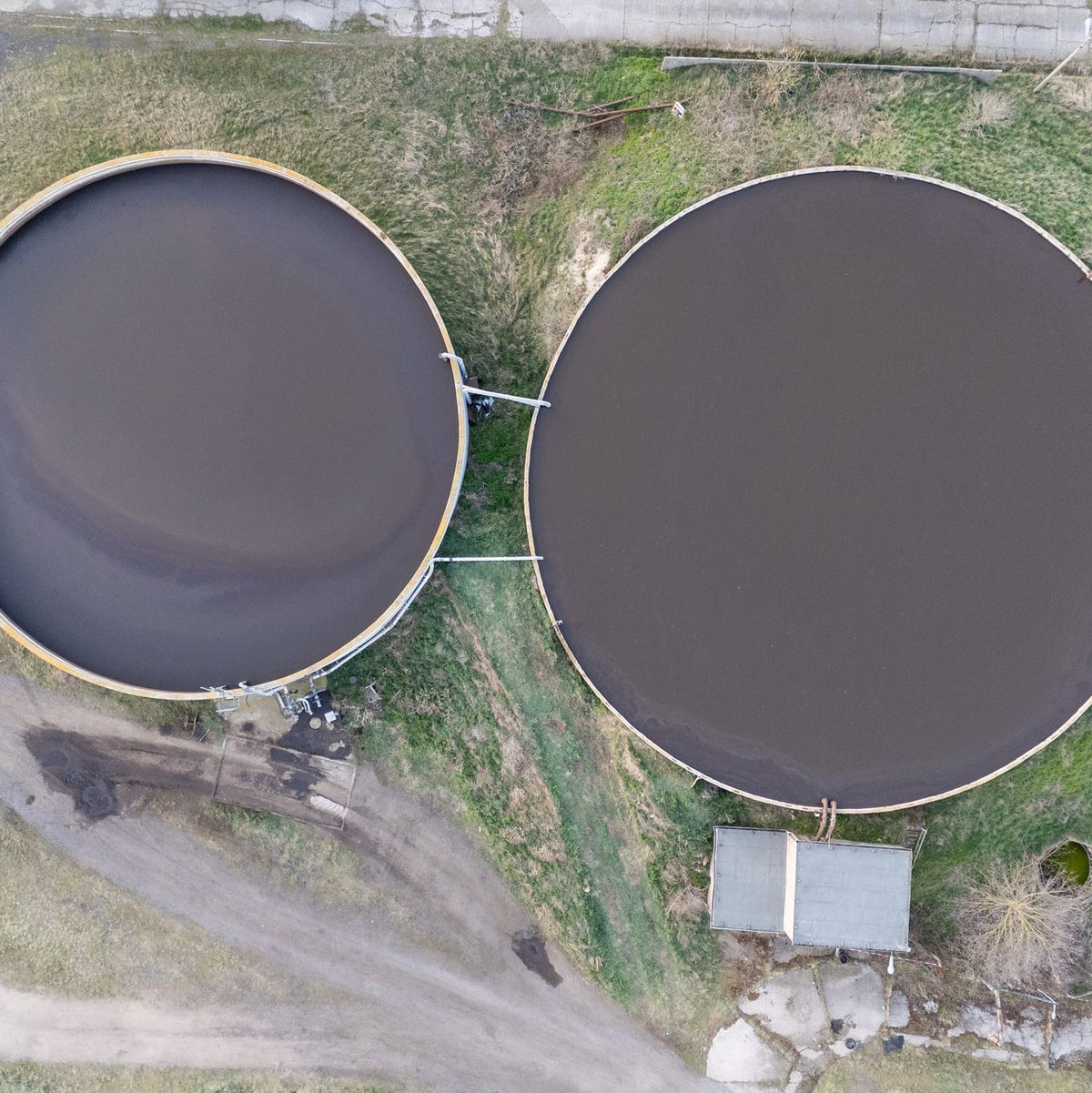 Ein Mitarbeiter des landwirtschaftlichen Betriebes entdeckte die Toten. - Foto: Sebastian Kahnert/dpa