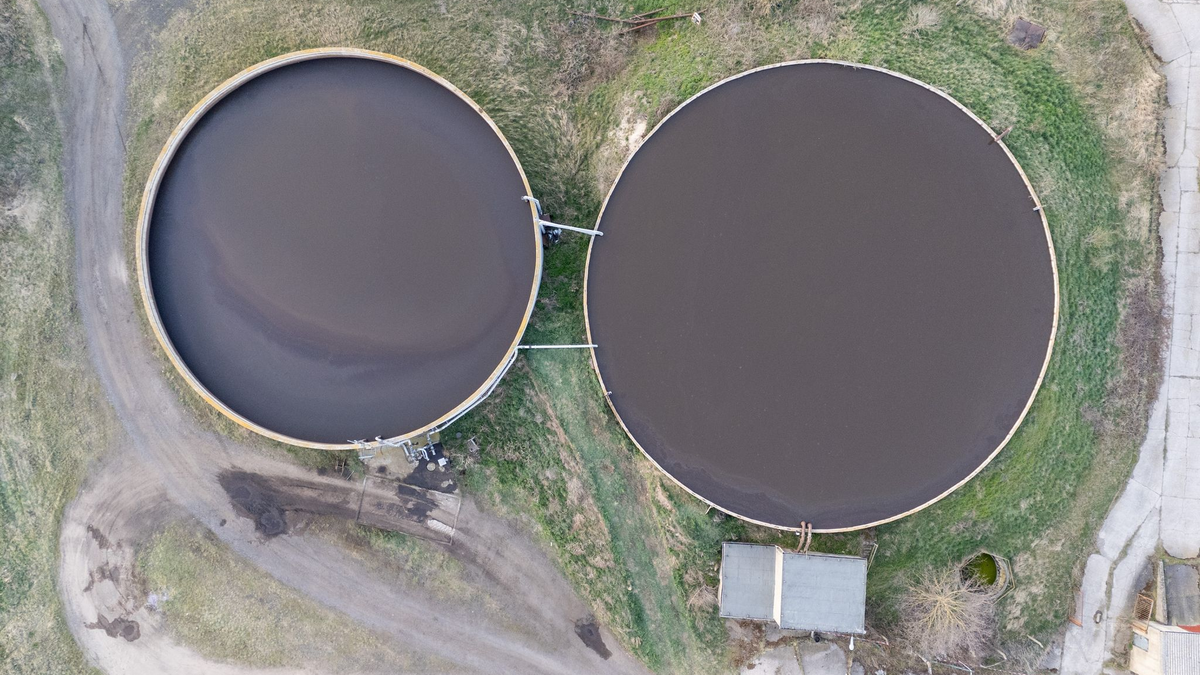 Ein Mitarbeiter des landwirtschaftlichen Betriebes entdeckte die Toten. - Foto: Sebastian Kahnert/dpa