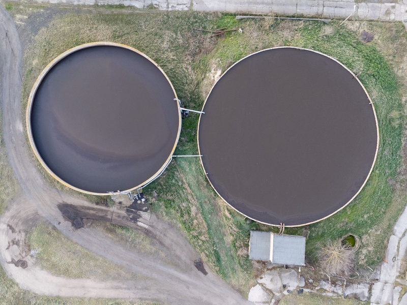 Ein Mitarbeiter des landwirtschaftlichen Betriebes entdeckte die Toten. - Foto: Sebastian Kahnert/dpa