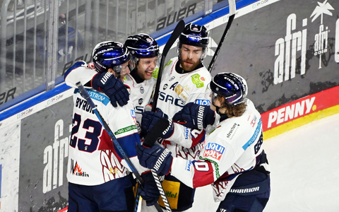 Die Eisbären Berlin können auch im vierten Halbfinale gegen Mannheim einen Sieg bejubeln und stehen erneut im DEL-Finale. - Foto: Uli Deck/dpa