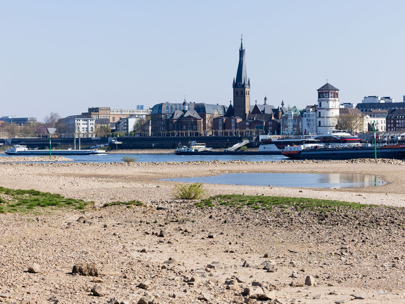 In Oberkassel am Rhein herrscht Trockenheit. - Foto: Rolf Vennenbernd/dpa