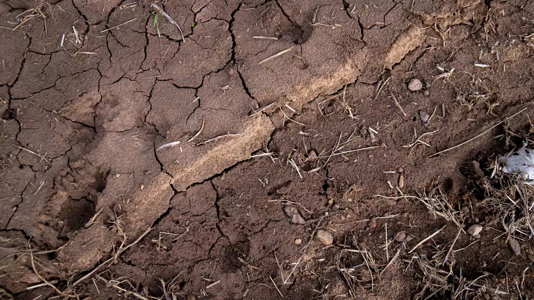Risse durchziehen den Boden eines Ackers. Trockenheit macht Landwirten, Obst- und Weinbauern in Teilen Bayerns in diesem Jahr bereits früh zu schaffen. (Archivbild) - Bild: Pia Bayer/dpa