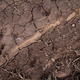 Risse durchziehen den Boden eines Ackers. Trockenheit macht Landwirten, Obst- und Weinbauern in Teilen Bayerns in diesem Jahr bereits früh zu schaffen. (Archivbild) - Foto: Pia Bayer/dpa