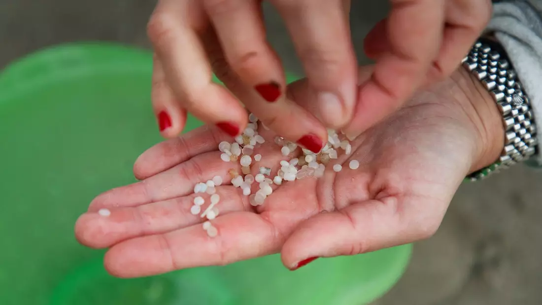 Die Umwelt soll besser vor Plastik geschützt werden.  - Bild: Lalo R. Villar/AP/dpa
