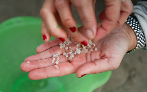Die Umwelt soll besser vor Plastik geschützt werden.  - Foto: Lalo R. Villar/AP/dpa