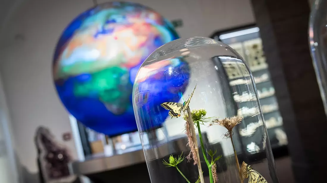 Neueröffnung Wandel / Vom Klimawandel bis hin zu Maria Sibylla Merian - Bild: presseportal.de